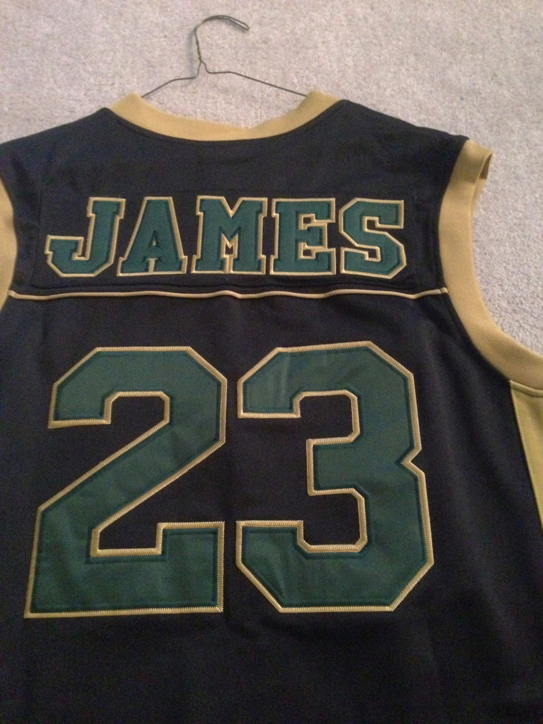 lebron james stvm jersey