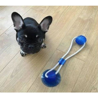 jouet pour chien avec ventouse