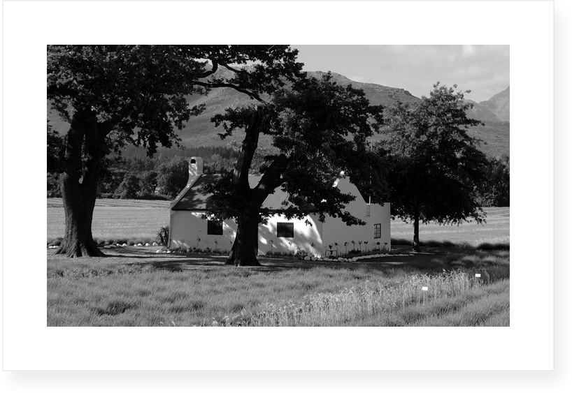 La Motte Estate | The Veepos | The Cattle Post