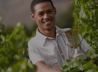 La Motte Social Responsibility, Franschhoek Wine Farm