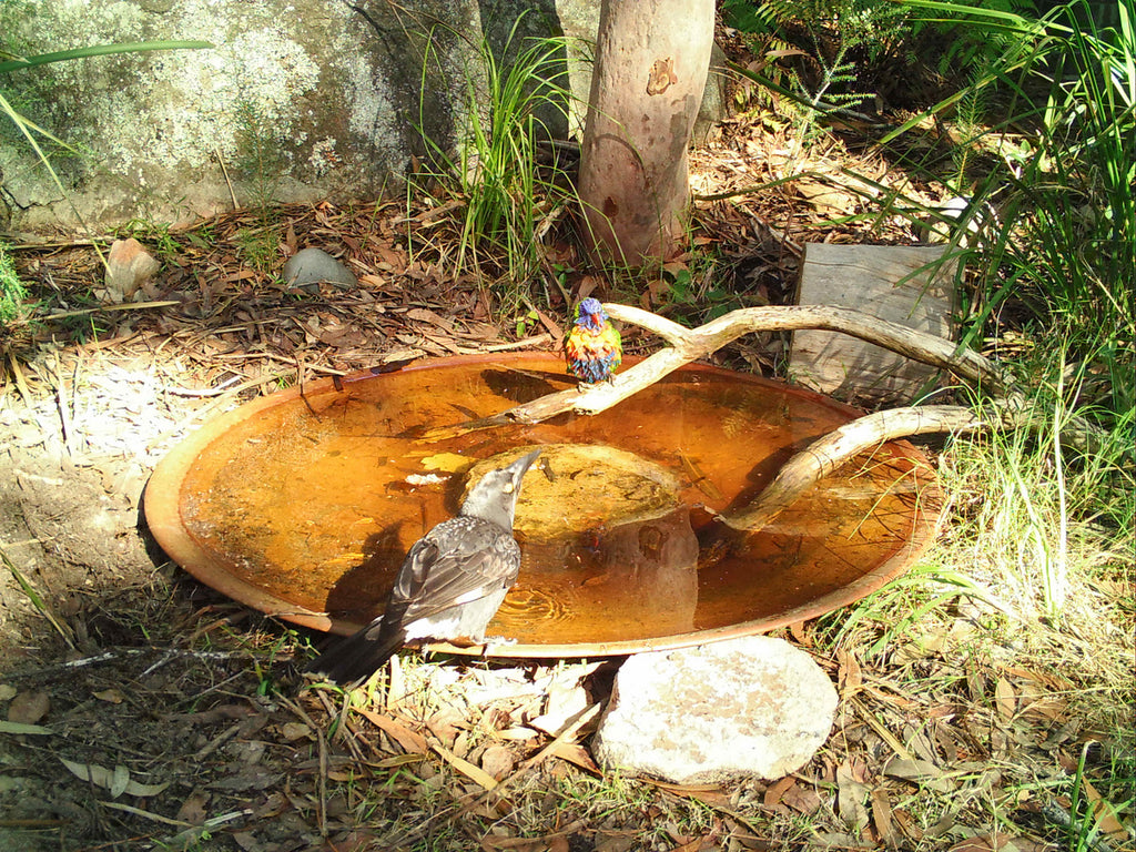 Extra-Large Spun Copper Dish - Mallee Bird Baths and Water ...