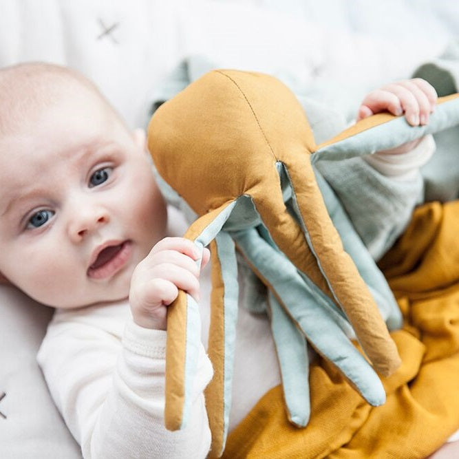 octopus rattle