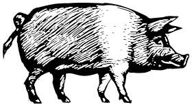 Black and White Pig Company