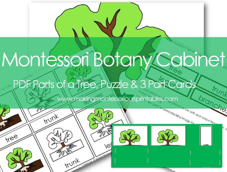 Montessori Botany Collection Pdf Printable Botany Cabinet