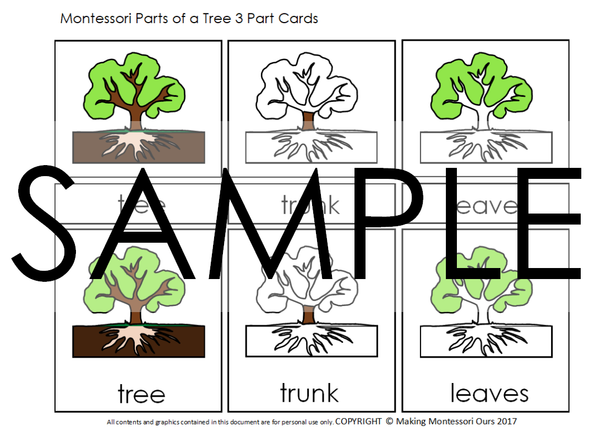 Download Montessori Botany Cabinet PDF Parts of a Tree 3 Part Cards & Puzzle an - Making Montessori Ours ...