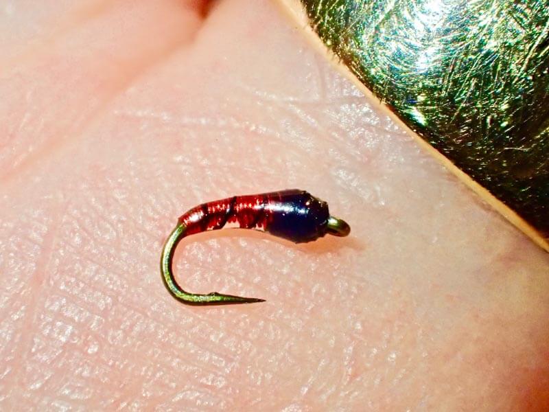 A deadly buzzer bloodworm fly. How to tie. - Sunray Fly Fish