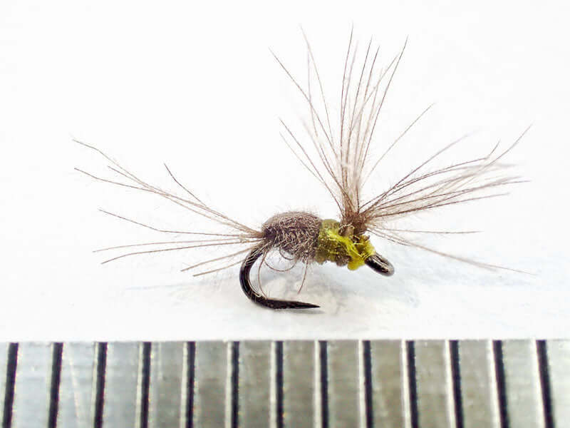 Size 30 IOBO Humpy against a mm scale, the size of a real aphid! (Gamakatsu C12-BM hook)