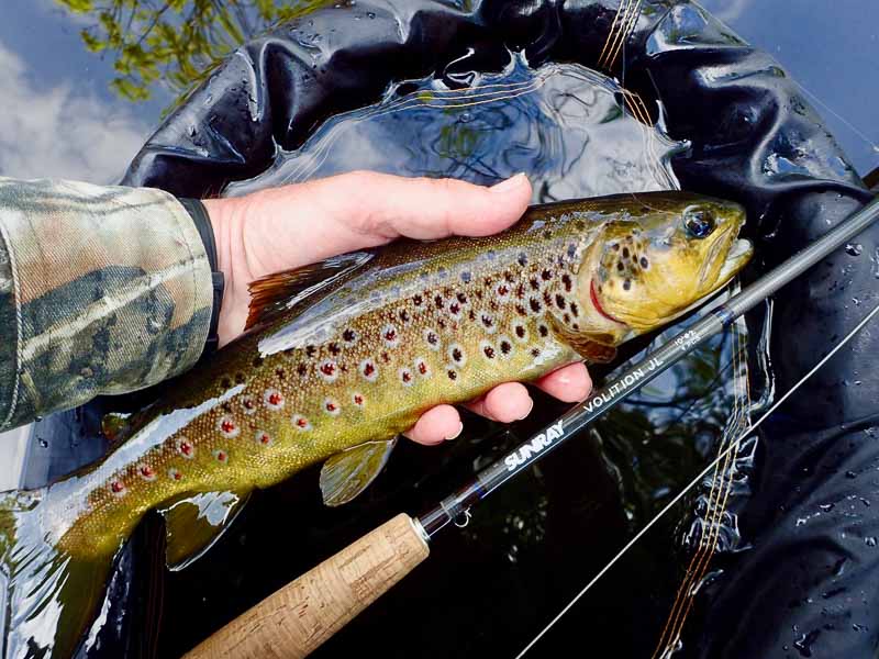 pesca a distanza ravvicinata con la canna da mosca ibrida sunray zero tenkara