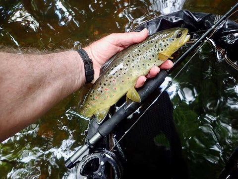 pesca a distanza ravvicinata con la canna da mosca ibrida sunray zero tenkara