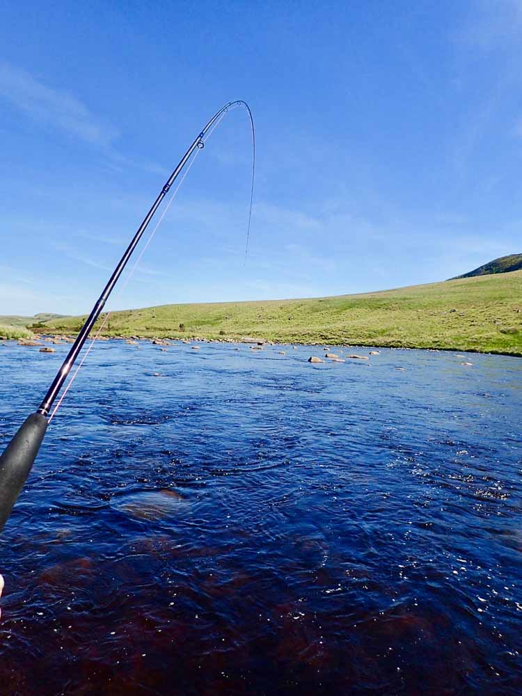 pesca a distanza ravvicinata con la canna da mosca ibrida sunray zero tenkara