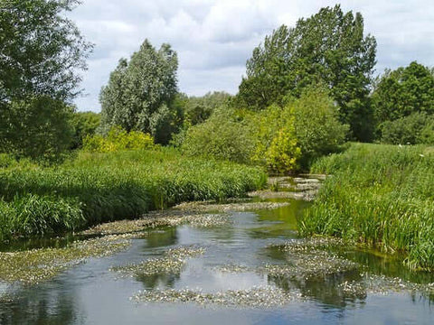 Driffield West Beck om sommeren.