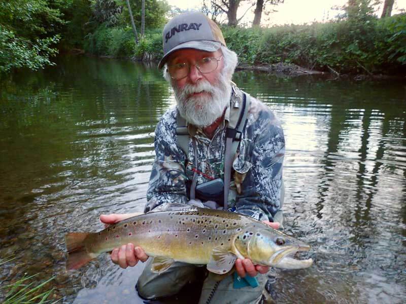 En stor vill River Rye brunørret som tok en pappa under et fall av Mayfly Spinners