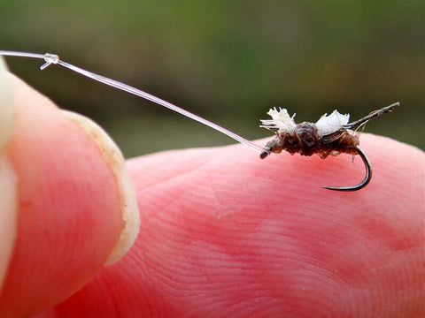 Rapala Loop Knot, misura 20 Agapetus Pupa e tippet da 0,16 mm