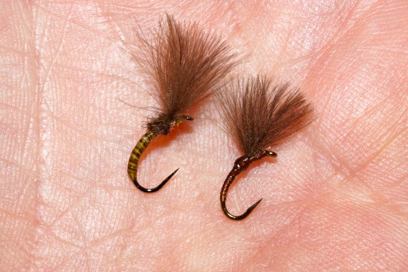 Large Dark Olives for grayling dry fly fishing - Sunray Fly Fish