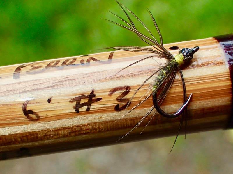 Bead-head Waterhen Bloa Spider