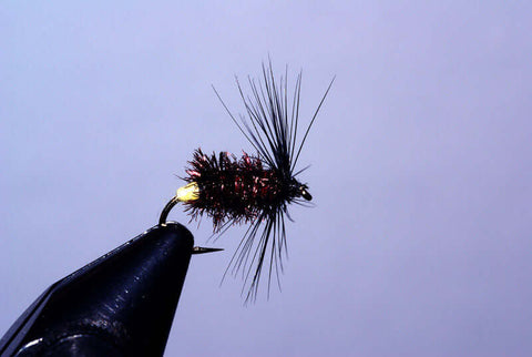 What about fly fishing foam beetles? - Sunray Fly Fish