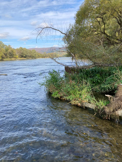 Pesca a mosca per temoli e trote in Polonia