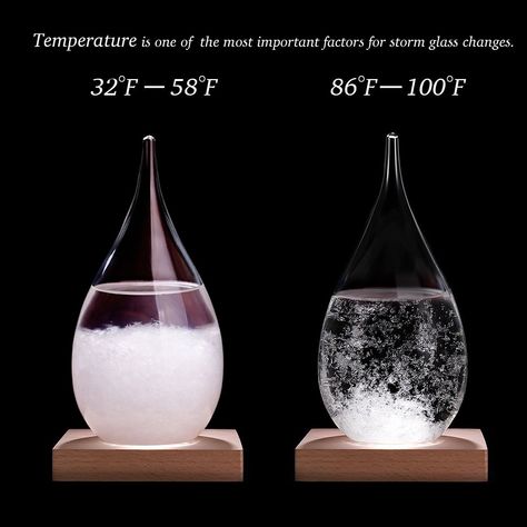 Weather Predicting Original Storm Glass Barometer – Blush Out