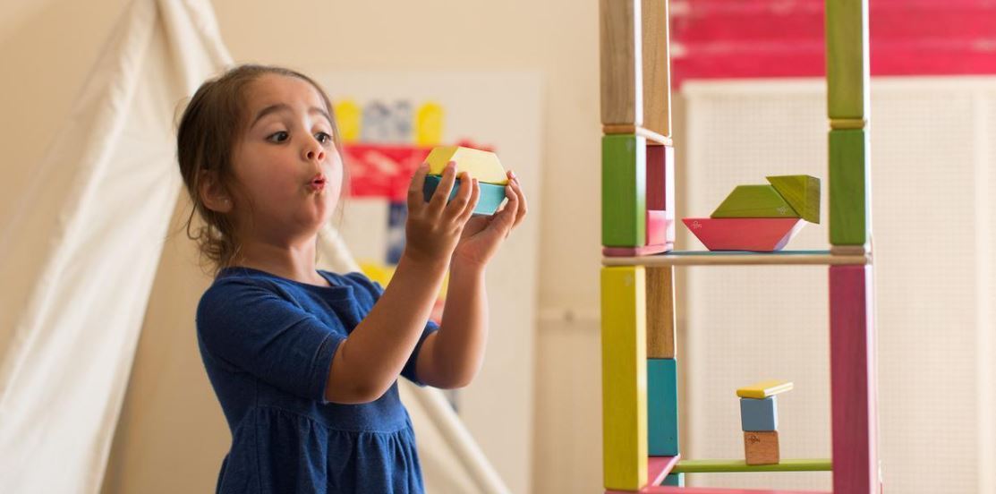 tegu blocks classroom set