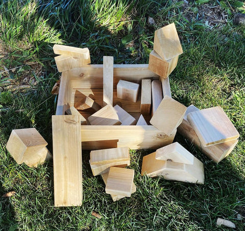 Cork Blocks Shapes – Louise Kool & Galt