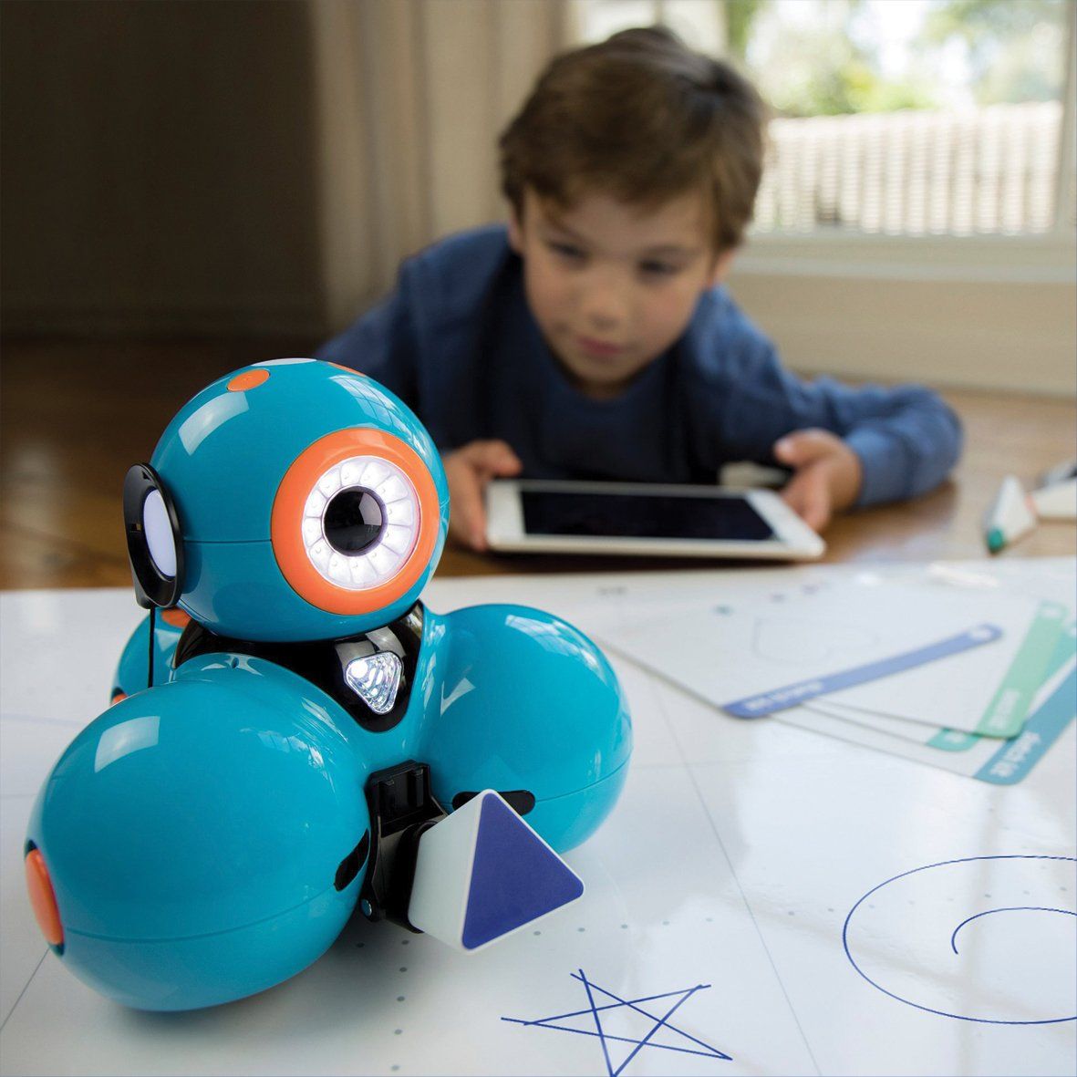 Evo Entry Kit – Ozobot