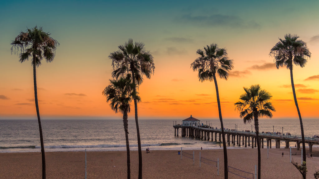 palm trees and the beach at manhattan pier sunset