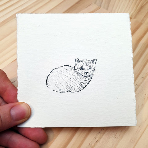a hand holds a small card with a picture of a one eyed cat sitting in the loaf position