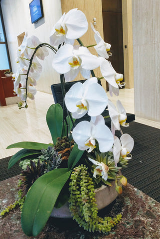 orchid arrangement steps arrangements funeral orchids related flowers roses