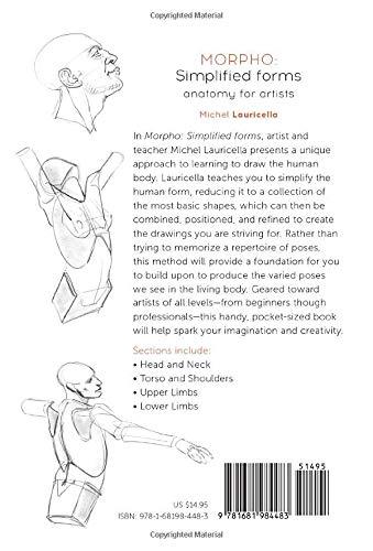 morpho-simplified-forms-anatomy-for-artists-morpho-anatomy-for-art