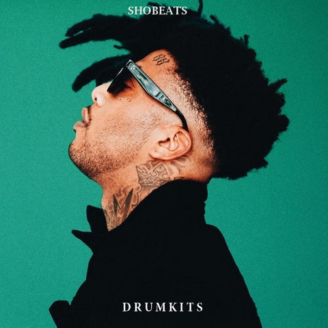 tm88 fl studio drum kit