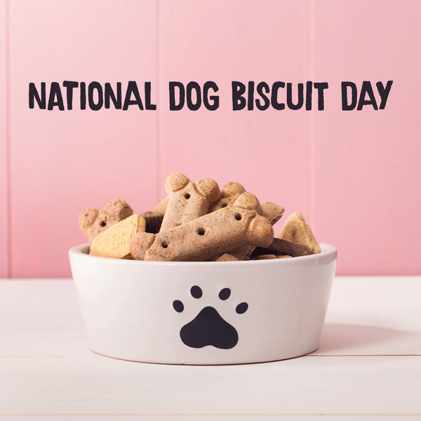 Free Recipe for National Dog Biscuit Day Pawsome Doggie