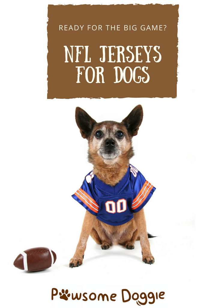 nfl dog clothes