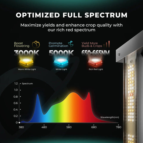 Exclusive Design of the Spectrum