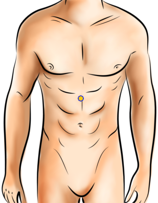illustration of male torso with a yellow dot in the middle of upper abdomen