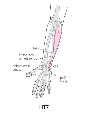 diagram of an arm highlighting its parts and acupressure point representation