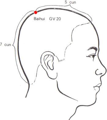 hand drawn diagram of a head side view with acupressure point representations