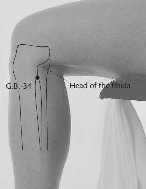 grayscale of a leg positioned 90 degrees with acupressure point representations