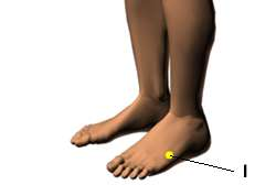 computer generated image of a pair of feet with a yellow dot representing acupressure point