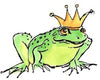 Fairy Finery frog prince illustration