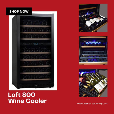 Loft 800 Wine Cooler