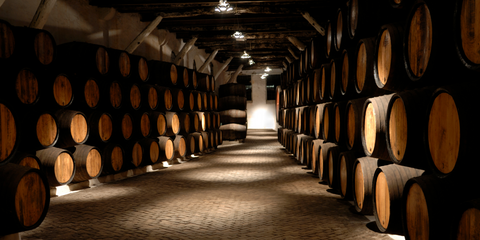 underground wine cellar with wine barrels 