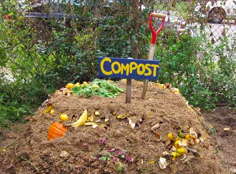 Compost pile for a vegetable garden