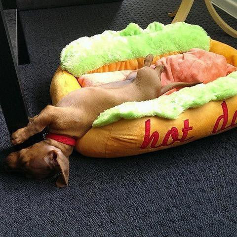 「hot dog bed」的圖片搜尋結果