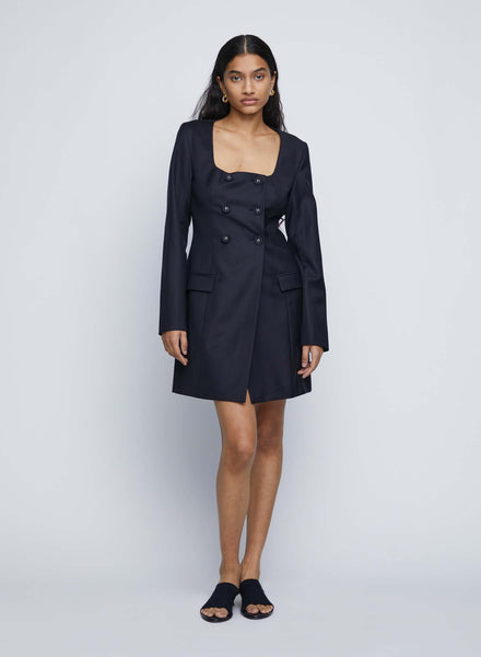 zara the agnes dress