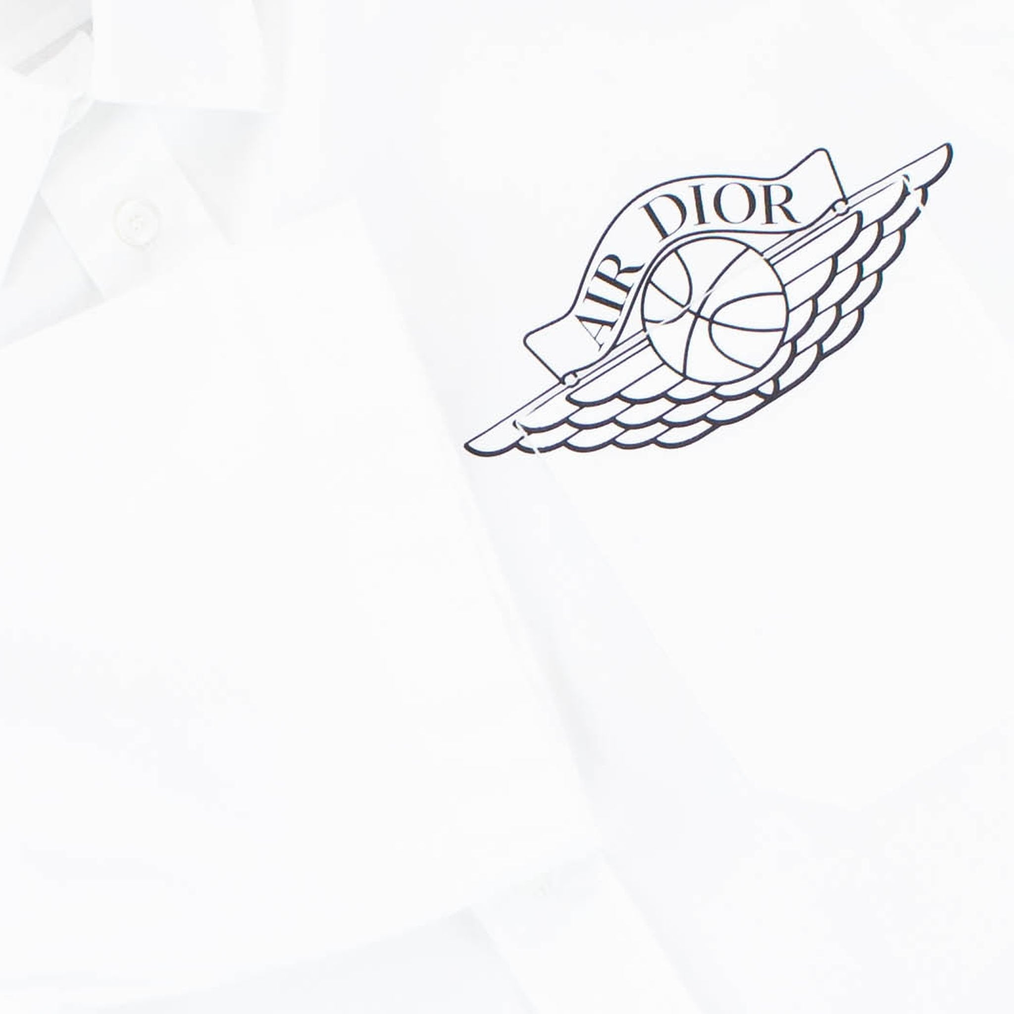 dior jordan logo