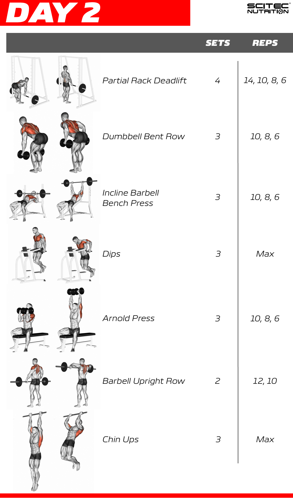 Full Upper Body Workout Program - WorkoutWalls