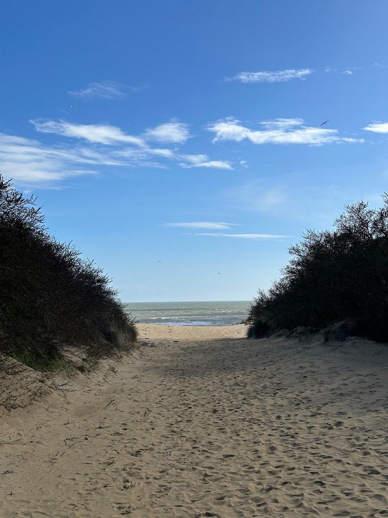 Sandy beach, Camber sands, East Sussex England, UK