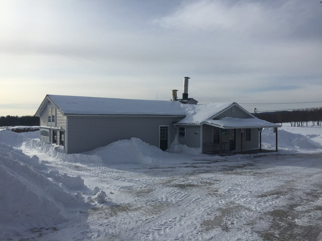 Winter Preparations for this Year's Sugaring Season