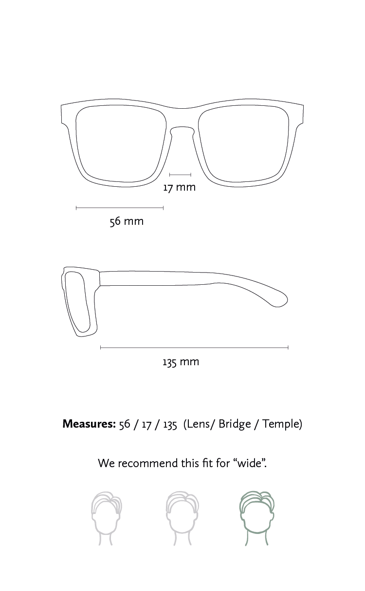 Buy Carrera Men-Women Wayfarer Sunglasses Brown Frame Grey Lens Small, 52  (9918-S-2XL-HA) at Amazon.in