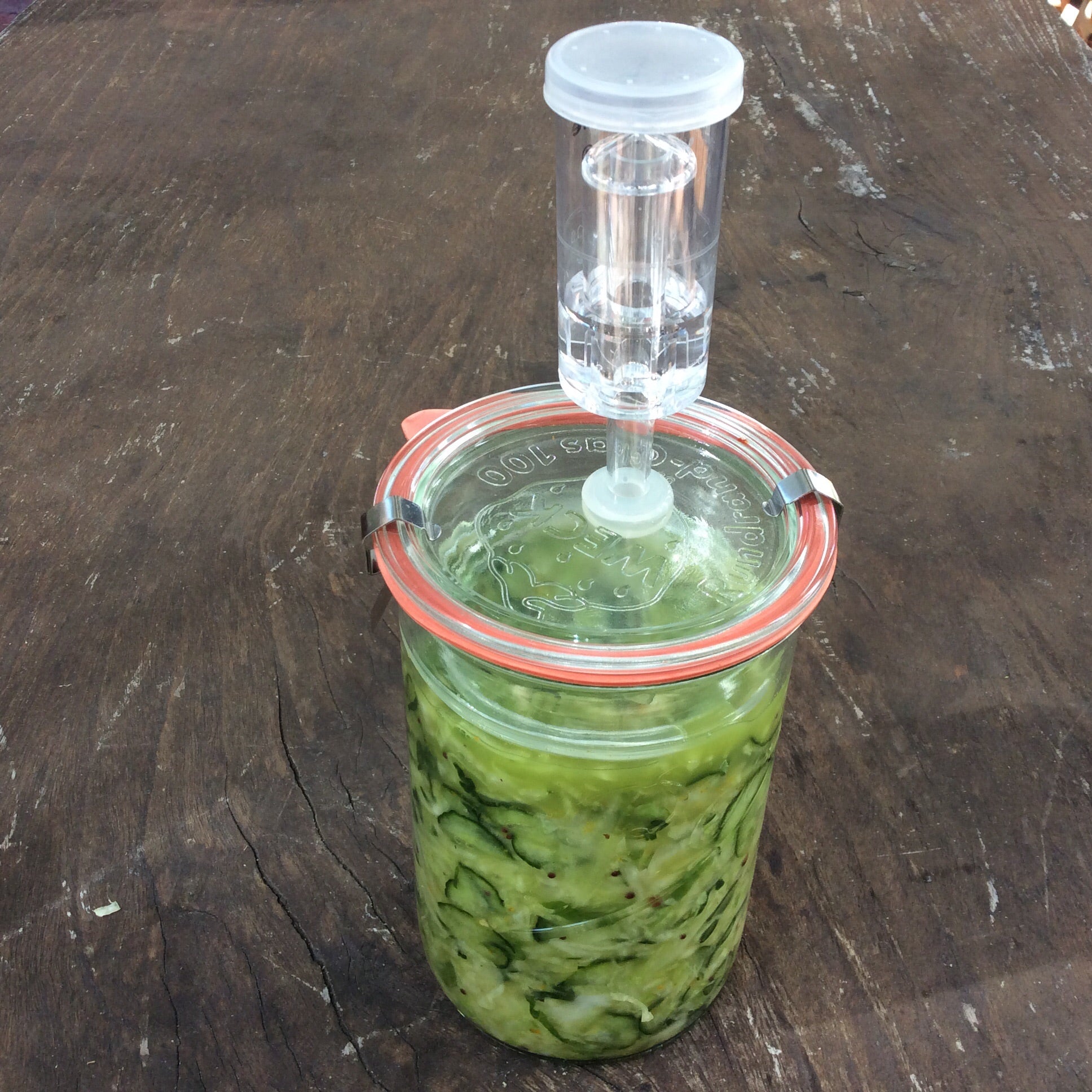 Coffret de démarrage de fermentation Le Parfait- Glas 750 ml - bocal weck  - bocal de